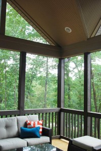 240-greenville-new-construction-sims-screened-porch-forest-view.jpg